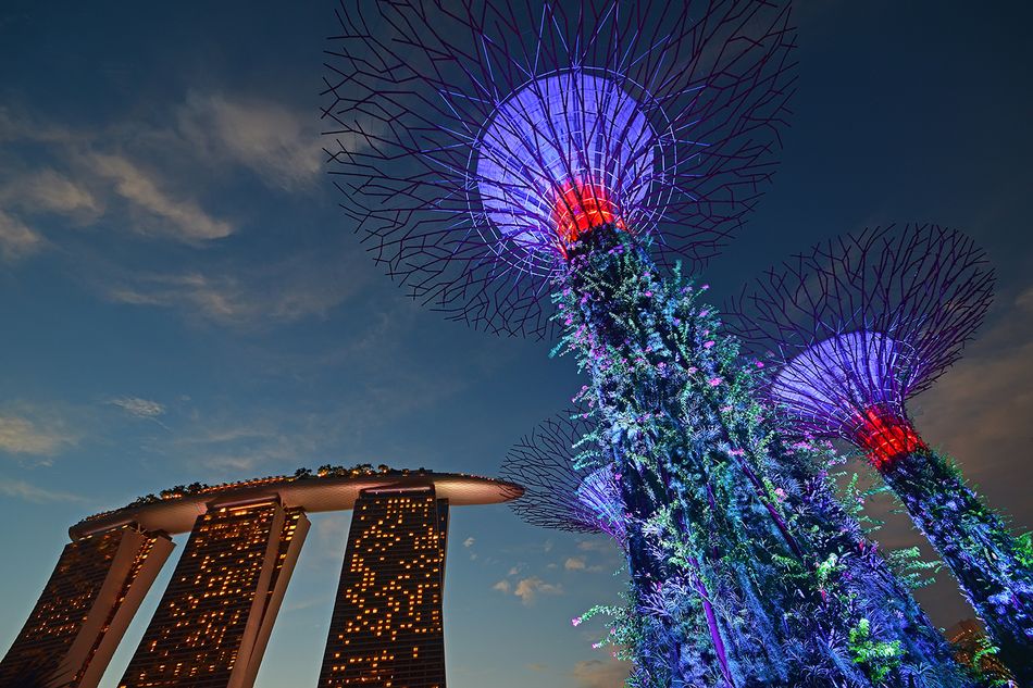 Asia-Pacific Awards | PFI