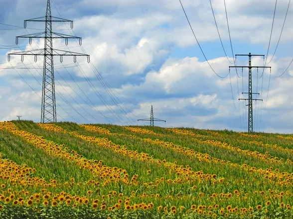 OneTwoThreeArticleImage